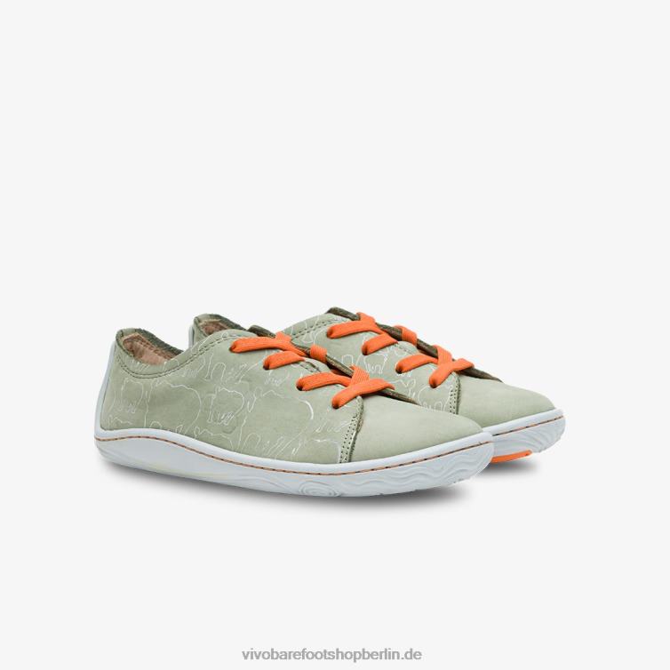Addis Lewa Juniors 8R24T226 Vivobarefoot Salbei